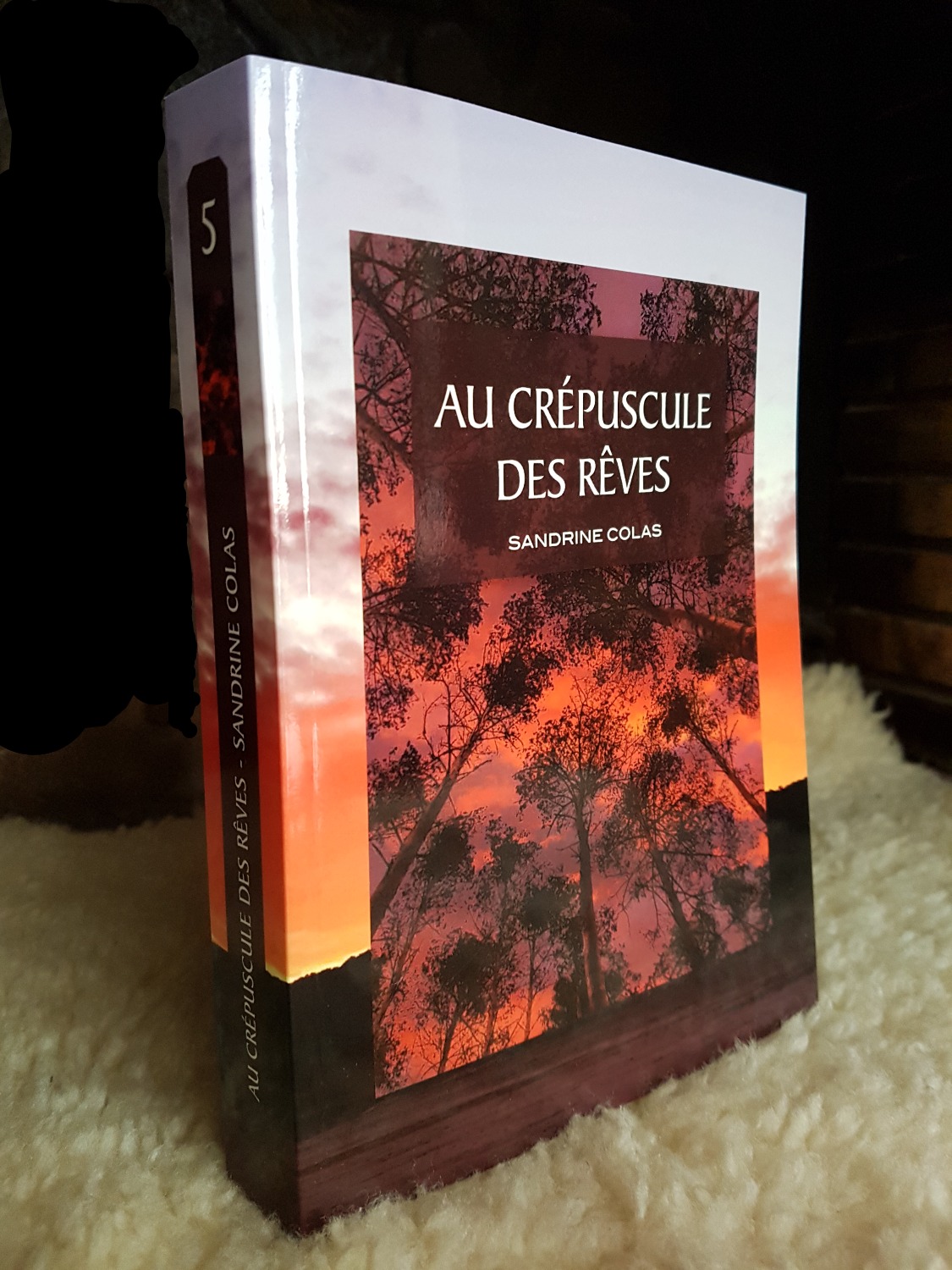 Au crépuscule des rêves